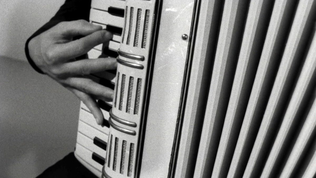 Accordion still 01